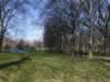 Green Park by Buckingham Palace (77,785 bytes)