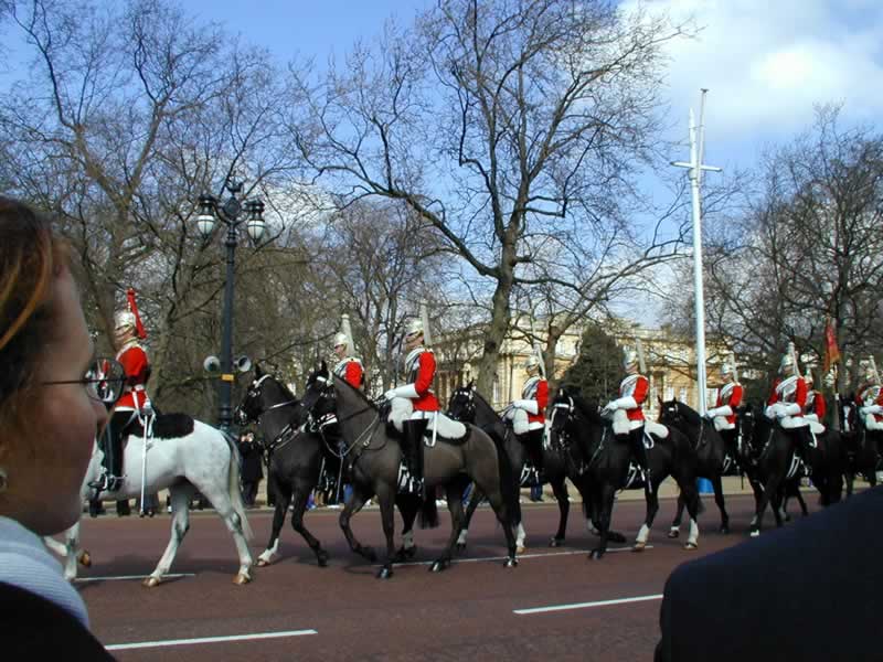 Horse Guard