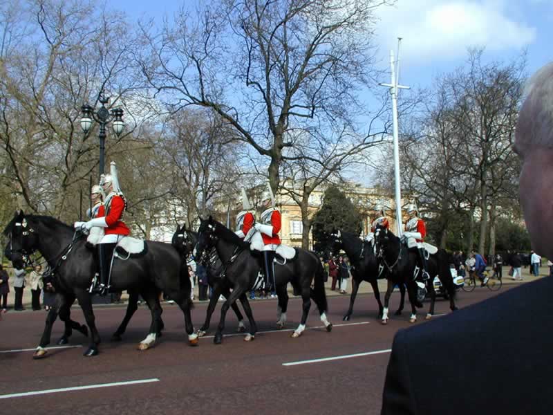 Horse Guard