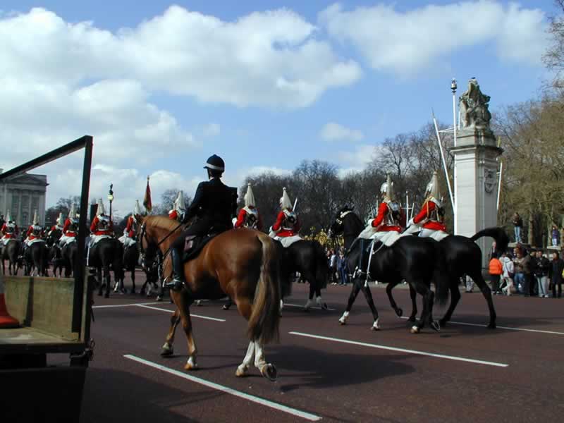 Horse Guard