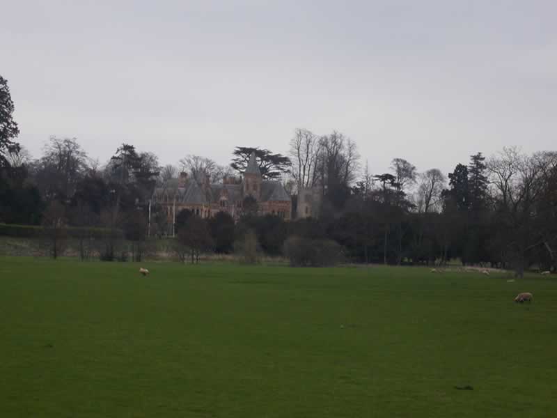 Haunted Castle