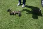 IMG_0708.jpg (77kb)