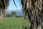 IMG_0753.jpg (62kb)