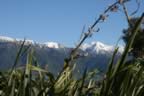 IMG_0754.jpg (39kb)