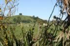 IMG_0755.jpg (51kb)
