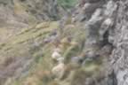 IMG_0996.jpg (24kb)