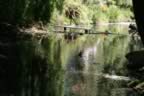 IMG_0758.jpg (58kb)