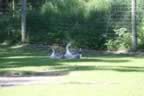 IMG_0773.jpg (47kb)