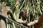 IMG_0778.jpg (52kb)