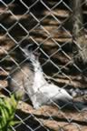 IMG_0811.jpg (52kb)