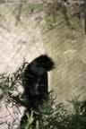 IMG_0821.jpg (35kb)