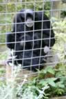 IMG_0832.jpg (38kb)