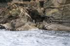 IMG_1265.jpg (64kb)