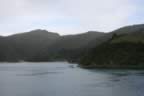 IMG_0705.jpg (16kb)