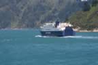 IMG_1724.jpg (29kb)