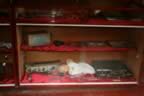 IMG_1673.jpg (26kb)