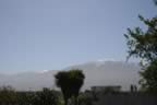 IMG_0713.jpg (20kb)