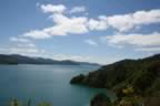 IMG_1688.jpg (21kb)