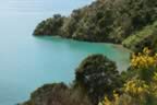 IMG_1694.jpg (44kb)