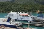 IMG_1696.jpg (55kb)