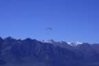 IMG_1390.jpg (11kb)