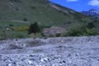 IMG_1412.jpg (54kb)