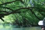 IMG_1413.jpg (71kb)