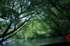 IMG_1414.jpg (74kb)