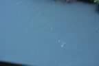 IMG_1435.jpg (6kb)