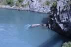 IMG_1436.jpg (32kb)