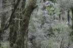IMG_1461.jpg (58kb)