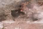 IMG_0532.jpg (46kb)