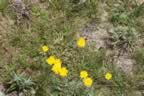 IMG_0538.jpg (92kb)
