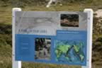 IMG_0539.jpg (42kb)