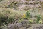IMG_0565.jpg (62kb)