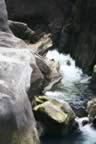 IMG_0590.jpg (41kb)