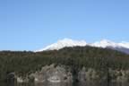IMG_1177.jpg (25kb)